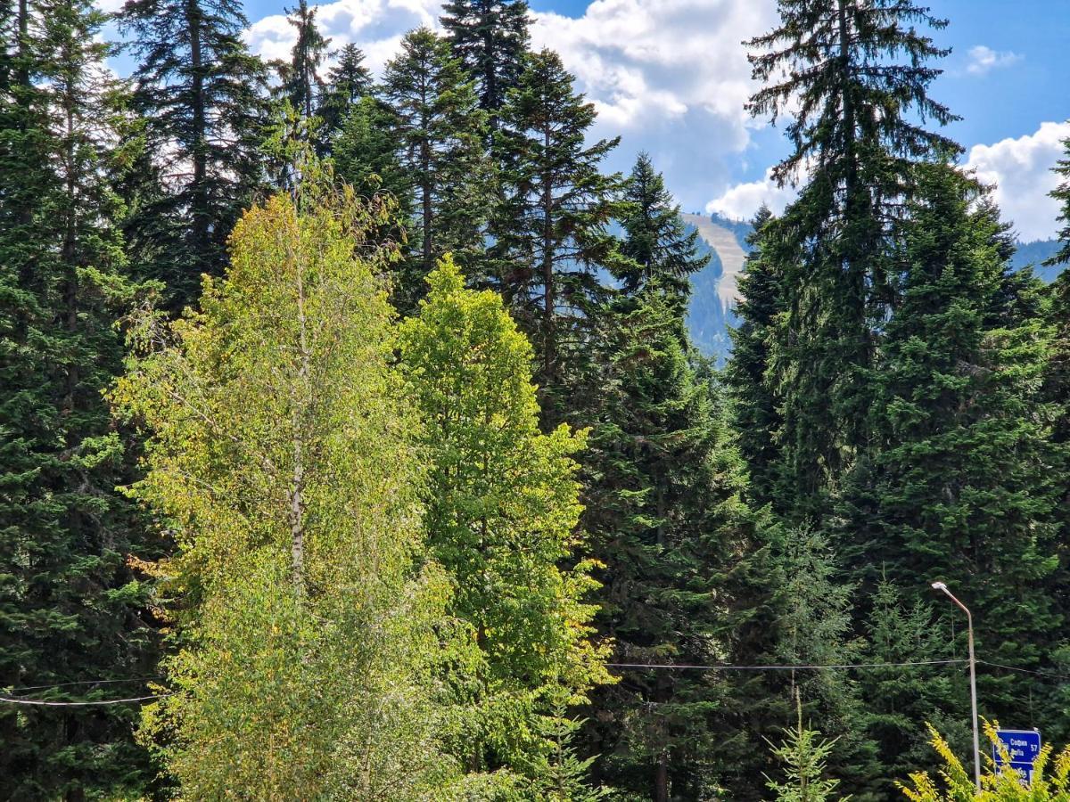 Sunny Apartment C25 Borovets Bagian luar foto